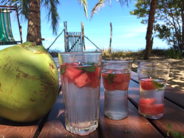 coconut water melon summer drink